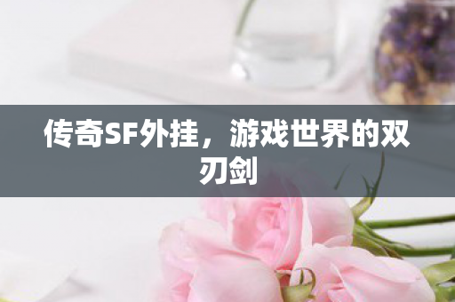 传奇SF外挂，游戏世界的双刃剑