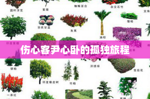 伤心客尹心卧的孤独旅程
