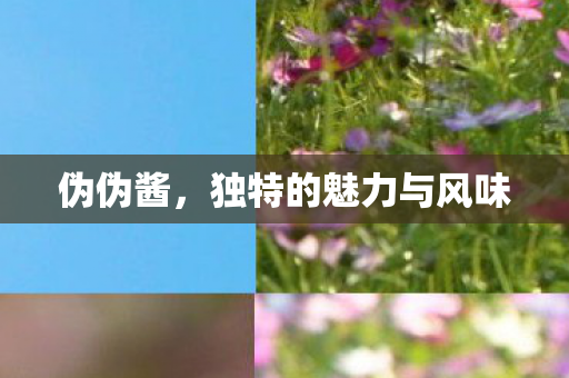 伪伪酱，独特的魅力与风味