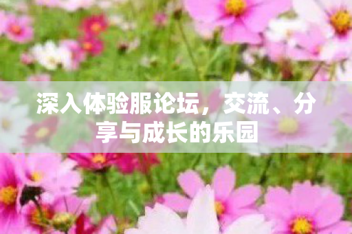 深入体验服论坛，交流、分享与成长的乐园