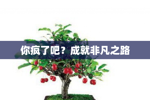 你疯了吧？成就非凡之路