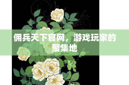 佣兵天下官网，游戏玩家的聚集地