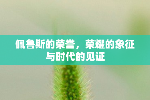 佩鲁斯的荣誉,荣耀的象征与时代的见证 佩鲁斯的荣誉,荣耀的象征与时代的见证