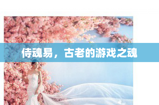 侍魂易,古老的游戏之魂 侍魂易,古老的游戏之魂