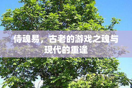 侍魂易，古老的游戏之魂与现代的重逢