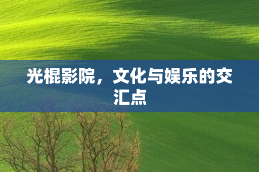 光棍影院，文化与娱乐的交汇点