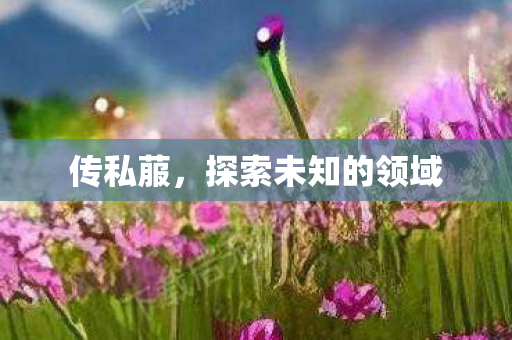 传私菔,探索未知的领域 传私菔,探索未知的领域