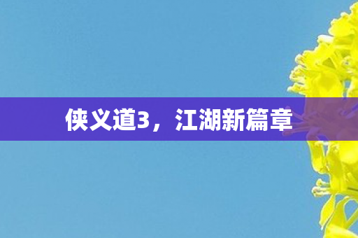 侠义道3，江湖新篇章