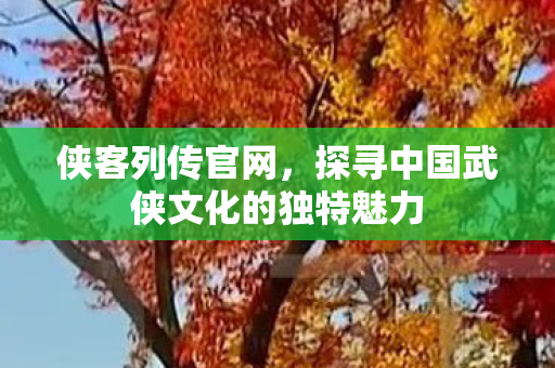 侠客列传官网，探寻中国武侠文化的独特魅力