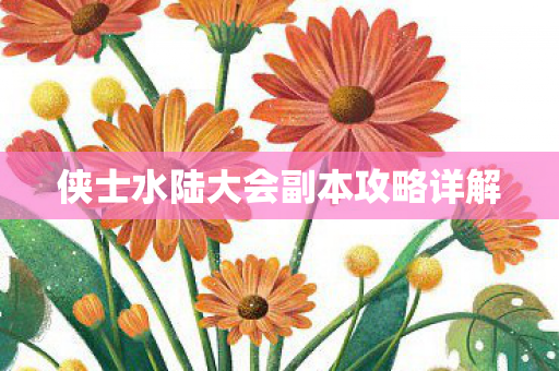 侠士水陆大会副本攻略详解