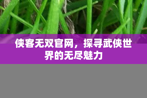 侠客无双官网，探寻武侠世界的无尽魅力