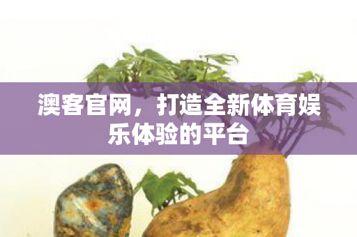 澳客官网，打造全新体育娱乐体验的平台