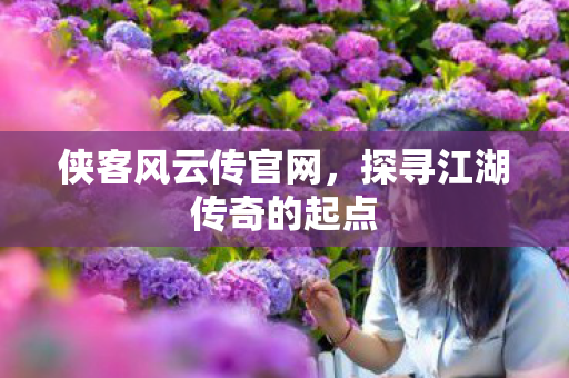 侠客风云传官网，探寻江湖传奇的起点