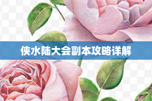 侠水陆大会副本攻略详解