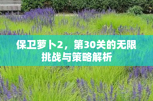 保卫萝卜2，第30关的无限挑战与策略解析