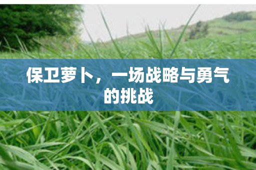 保卫萝卜,一场战略与勇气的挑战 保卫萝卜,一场战略与勇气的挑战