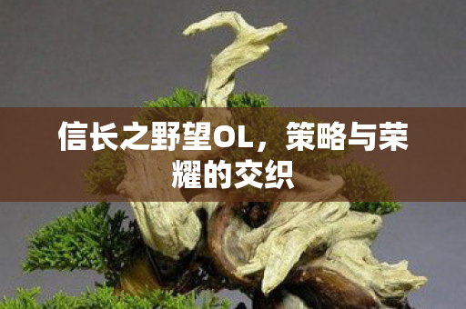 信长之野望OL，策略与荣耀的交织