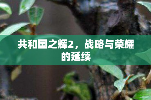 共和国之辉2，战略与荣耀的延续
