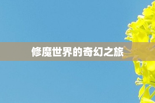 修魔世界的奇幻之旅