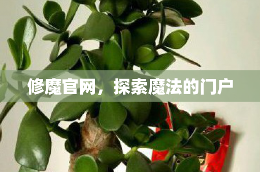 修魔官网，探索魔法的门户