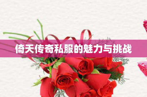 倚天传奇私服的魅力与挑战