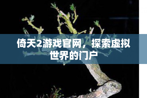 倚天2游戏官网，探索虚拟世界的门户