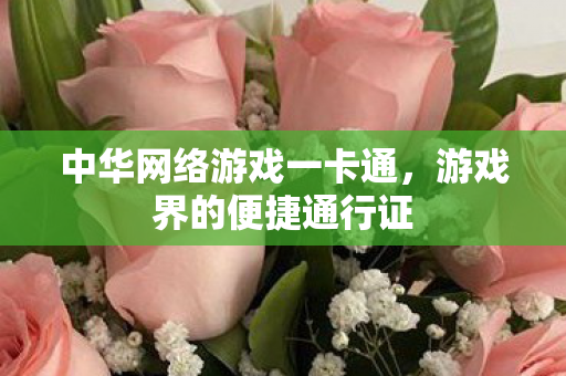 中华网络游戏一卡通,游戏界的便捷通行证 中华网络游戏一卡通,游戏界的便捷通行证