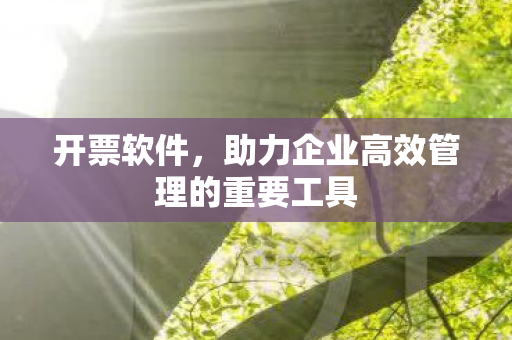 开票软件，助力企业高效管理的重要工具