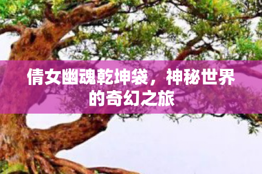 倩女幽魂乾坤袋，神秘世界的奇幻之旅