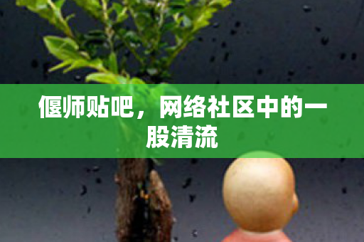 偃师贴吧，网络社区中的一股清流