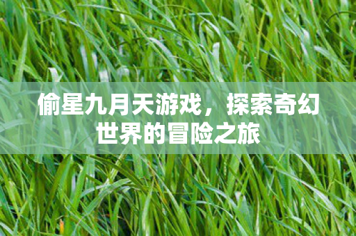 偷星九月天游戏，探索奇幻世界的冒险之旅