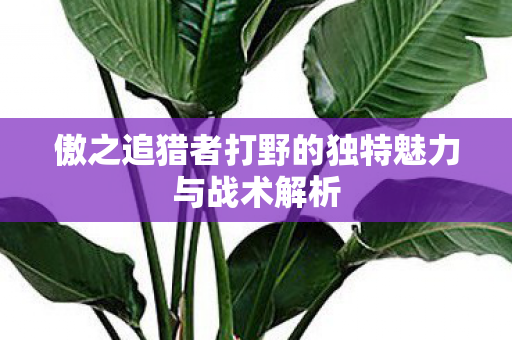 傲之追猎者打野的独特魅力与战术解析