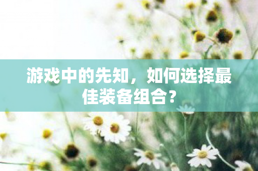 游戏中的先知，如何选择最佳装备组合？