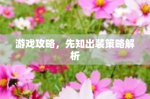 游戏攻略，先知出装策略解析