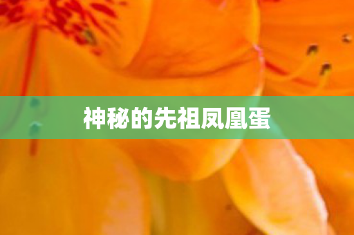 神秘的先祖凤凰蛋