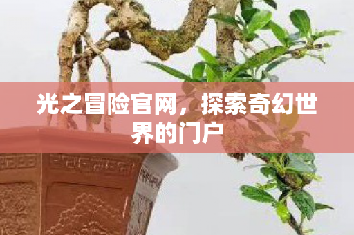 光之冒险官网，探索奇幻世界的门户