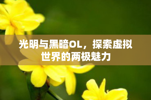 光明与黑暗OL，探索虚拟世界的两极魅力
