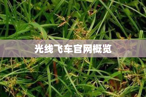 光线飞车官网概览