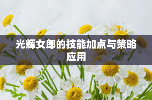光辉女郎的技能加点与策略应用