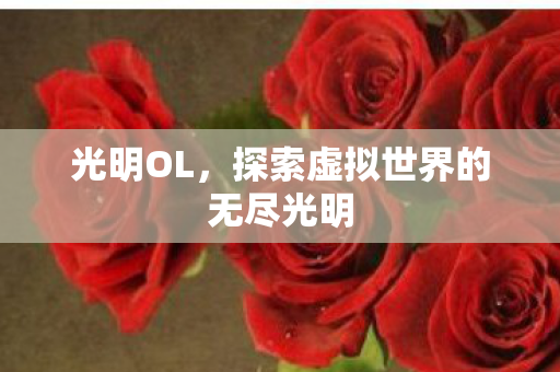 光明OL,探索虚拟世界的无尽光明 光明OL,探索虚拟世界的无尽光明