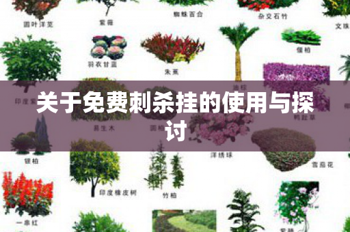 关于免费刺杀挂的使用与探讨