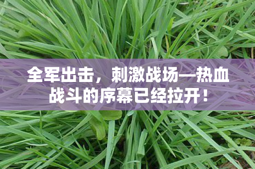 全军出击,刺激战场—热血战斗的序幕已经拉开! 全军出击,刺激战场—热血战斗的序幕已经拉开!