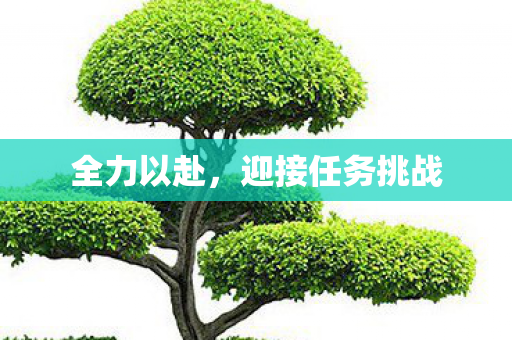 全力以赴，迎接任务挑战