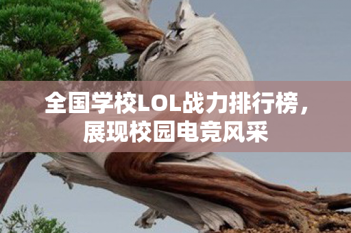 全国学校LOL战力排行榜，展现校园电竞风采