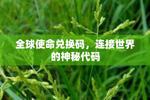 全球使命兑换码,连接世界的神秘代码 全球使命兑换码,连接世界的神秘代码