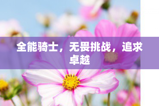 全能骑士，无畏挑战，追求卓越