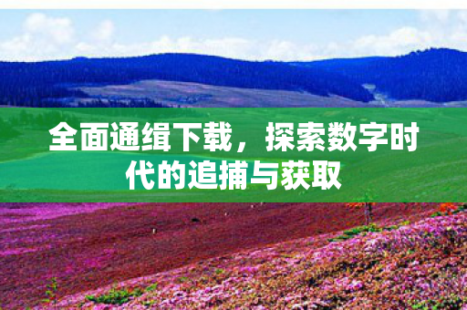 全面通缉下载,探索数字时代的追捕与获取 全面通缉下载,探索数字时代的追捕与获取