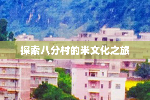 探索八分村的米文化之旅