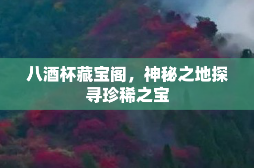 八酒杯藏宝阁,神秘之地探寻珍稀之宝 八酒杯藏宝阁,神秘之地探寻珍稀之宝