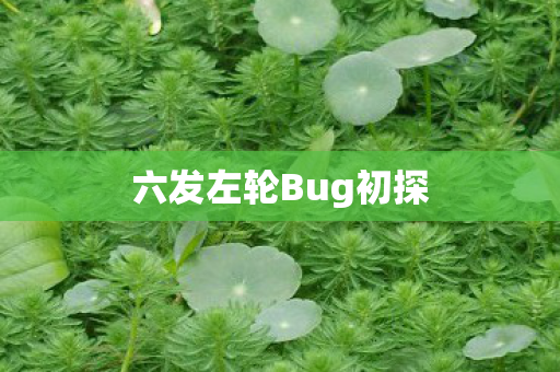 六发左轮Bug初探 六发左轮Bug初探